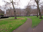 Grosvenor Square Gardens