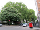 Norfolk Square Gardens