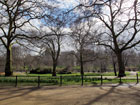 St James's Park