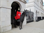 Attirano molto i turisti le guardie a cavallo della Horse Guard Parade