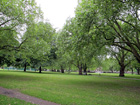 London Fields