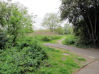 Bishop's Park