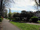 Page Green Common