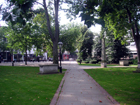 Dovehouse Green