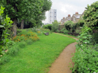 Eden at St Paul's Community Garden, con sullo sfono il grattacielo