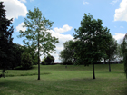 Royal Victoria Gardens