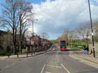 Forest Drive