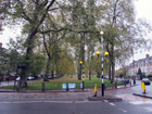 Goose Green