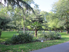 Museum Gardens
