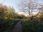 Mudchute Park and Farm