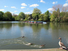 Battersea Park - Laghetto con "pennuti"