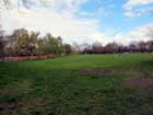 Clapham Common - Lato occidentale