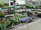 Northcode Road Street Market