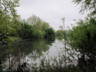 Battersea Park
