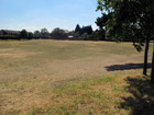 Bexley Village Open Space