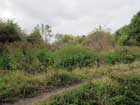 South Norwood Country Park