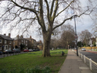 Ealing Green