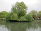 Barnes Pond