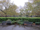 Brunswick Square Gardens
