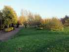 Millwall Park